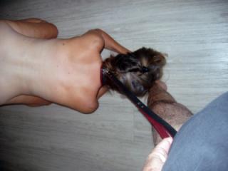 Slut Babs - submissive and obedient! 14 of 20