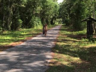She Rocks the Walking Path Next to the Road