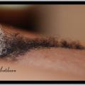 Slightly hairy ...