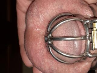Even smaller chastity cage 1 of 7