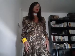 Lorenza sissy leopard dress. 19 of 20