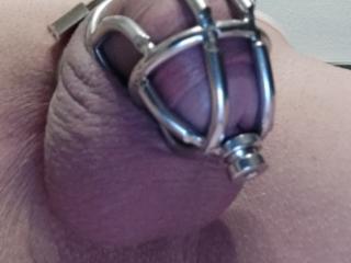 Chastity Cage with transuretral catheter 04 10 of 15