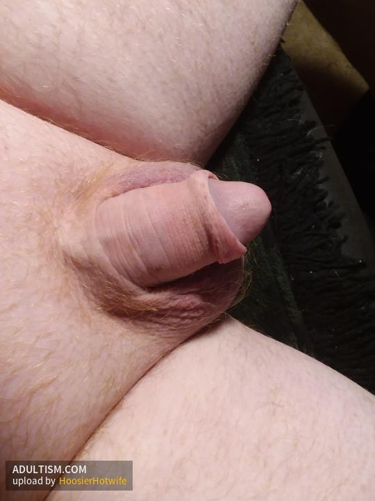 Image 4 of 5