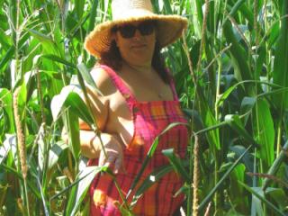 Corn field 7 of 11