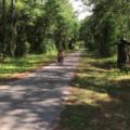 She Rocks the Walking Path Next to th...