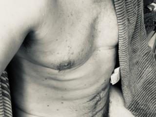 A Horny Bear 2 3 of 7