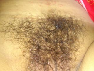 ASIA HAIRY 6 of 7