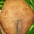 New shape of pussy2