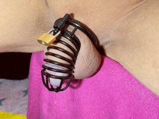 Sissy Slave wearing a black chastity cage and white dress 14 of 15
