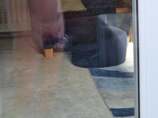 Reflections 5 of 7