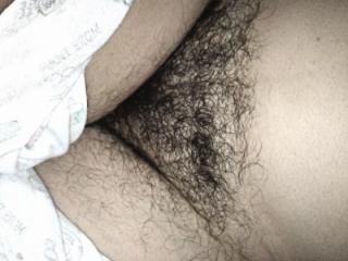 my hairy wife 2 of 13