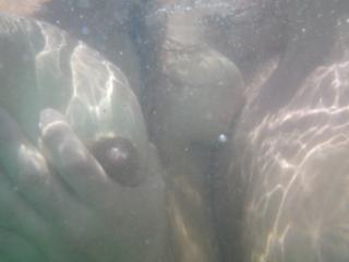 underwater 15 of 15