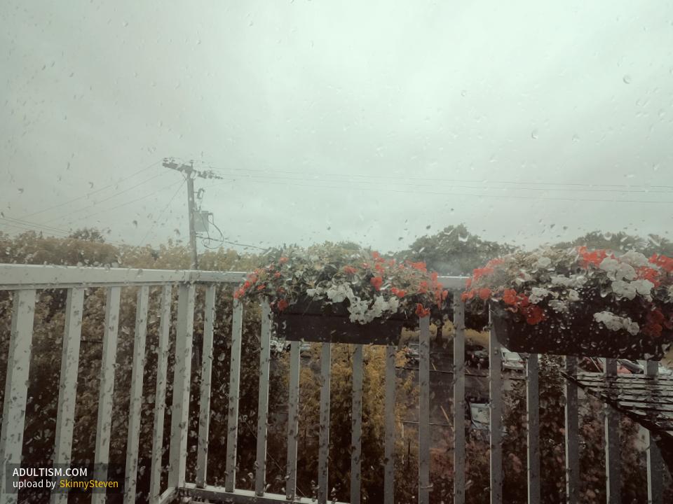 Image 5 of 6