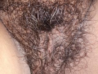 Hairy look close ups 1 of 5