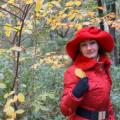 Red and Yellow (Fall Album)