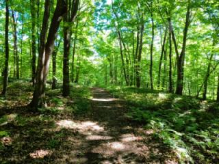 A little walk in nature with Steven and....flashing lol 6 of 10