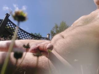 Hard and ready to cum