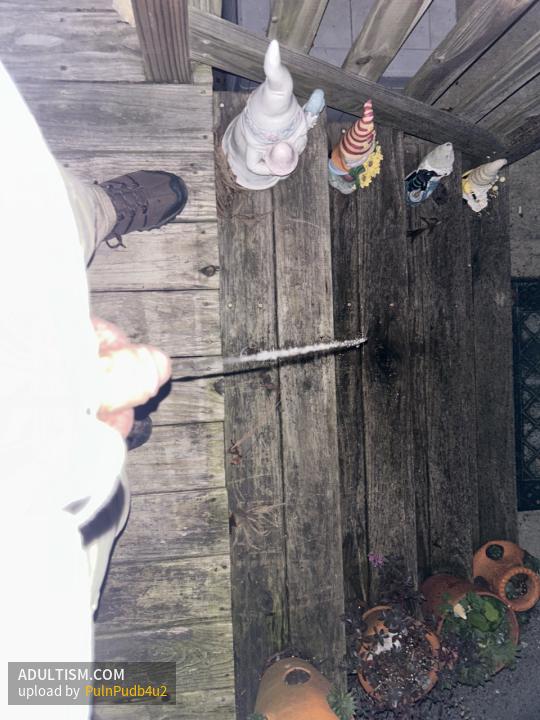 Image 2 of 5