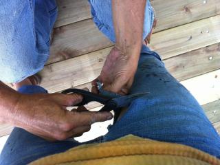 Farmhand lends a hand to cut my jeans into jean shorts 3 of 16