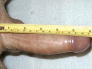 15cm 1 of 1