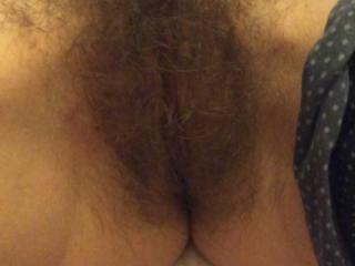 Hairy pussy 4 of 4