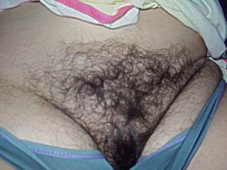 my hairy wife 6 of 6