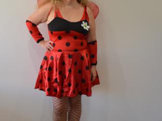 Debbie The Ladybird 1 of 12