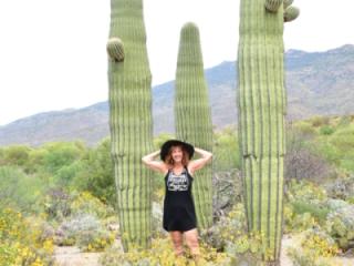 Cactus Wondering 1 of 14