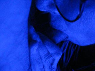 freaky lover sucks my cock