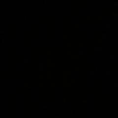 phillerup