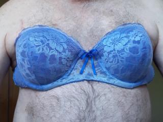 In my wife's bras. 14 of 15