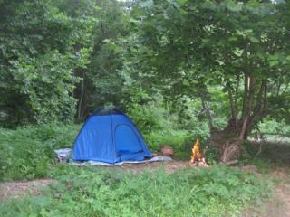 Camping in Allegheny Forest 2 of 6