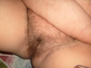 Hairy Pussy 2 of 19