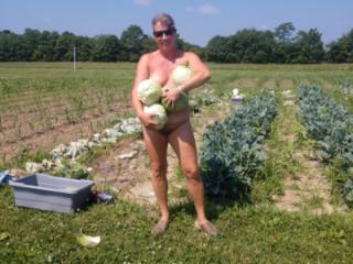 Picking Cabbage 6 of 18