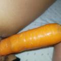 More Carrot fun