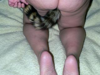Who wants to fuck a cute raccoon? 11 of 20