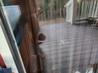 Back Porch 1 of 5