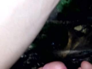 Giving Thanks 1 of 19