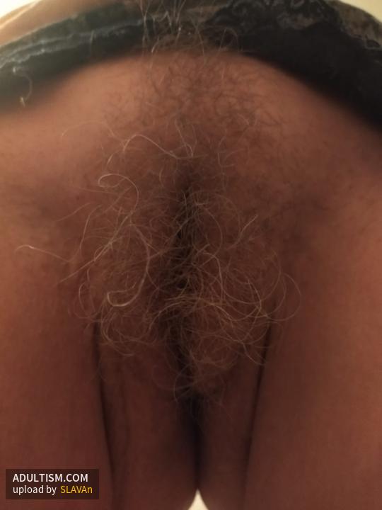 Image 11 of 14