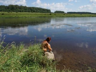 Boulder in Volga-river 11 of 20