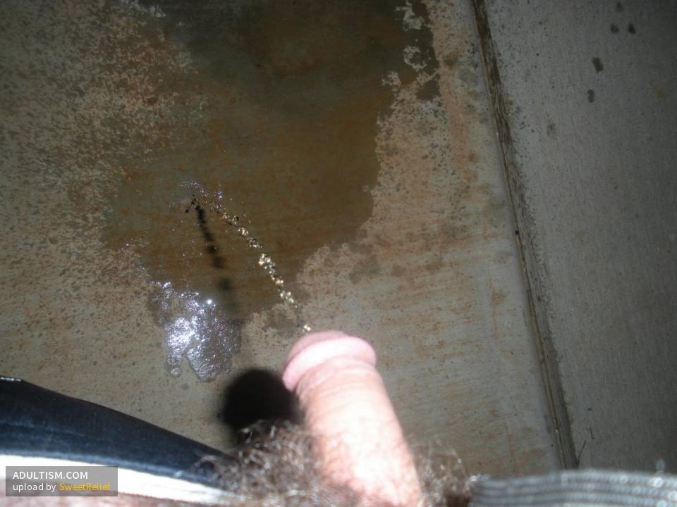 Image 6 of 12