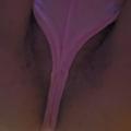Video stills