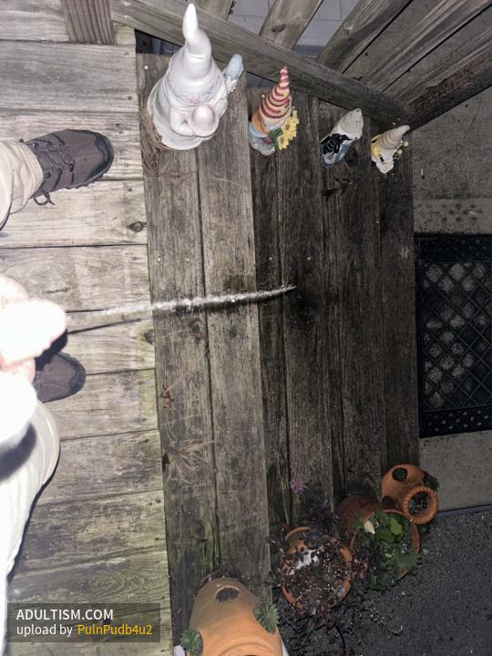Image 3 of 5