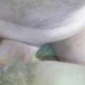 Anal with final cumshot