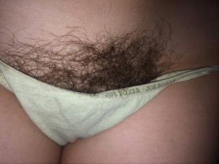 Panties and hairy pussy 8 of 8