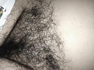 my hairy wife 12 of 13