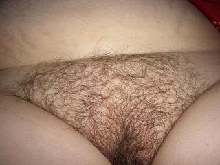 Some hairy pics 12 of 17