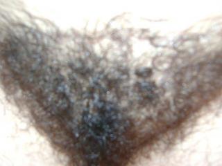 My hairy wife 10 of 12