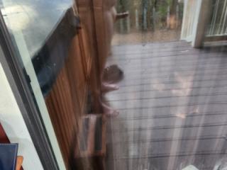 Back Porch 2 of 5