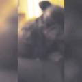 Hotwife BlowJob